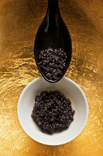Caviar d&#39;esturgeon au béluga