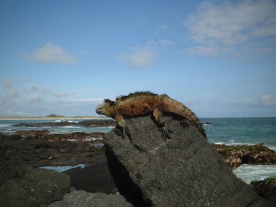 Îles Galapagos, Équateur
