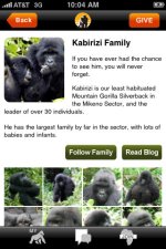 Profils de famille de gorilles