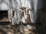 Dommages causés par les termites